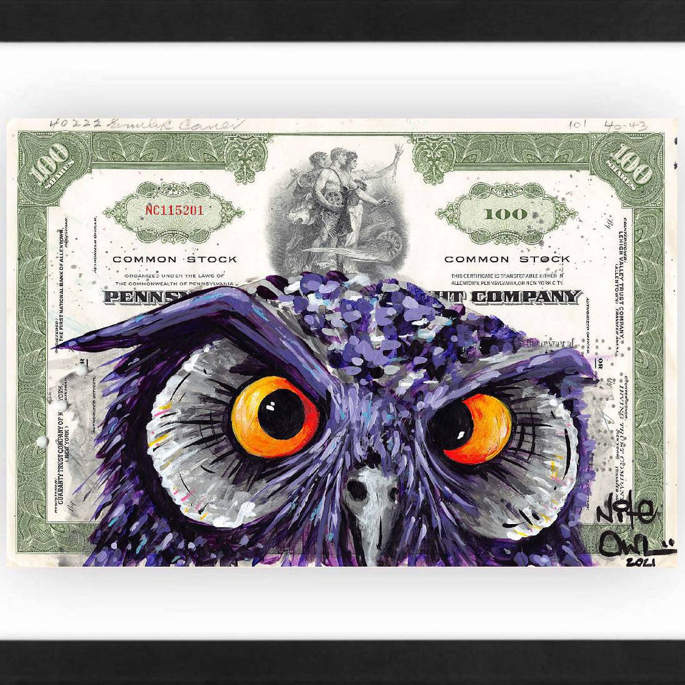 The Stare by Nite Owl - Signature Fine Art